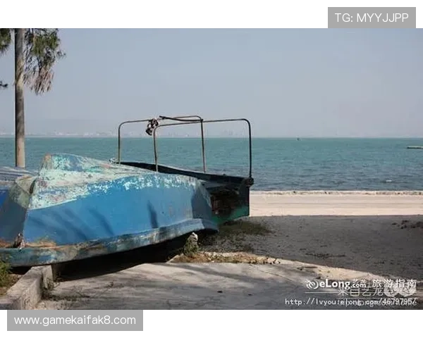 K8入口中心常用登录入口地址大全，方便玩家随时随地快速进入游戏