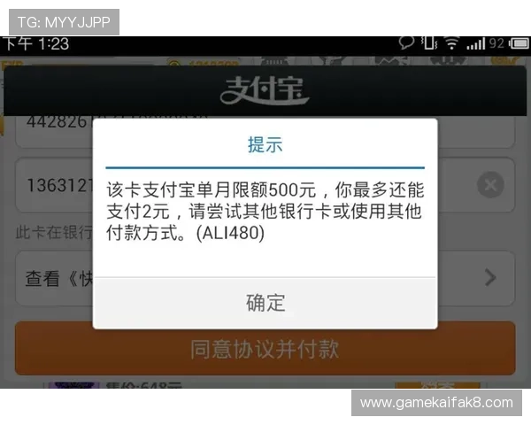 凯发九游娱乐电游游戏的充值方式与支付安全保障措施详解