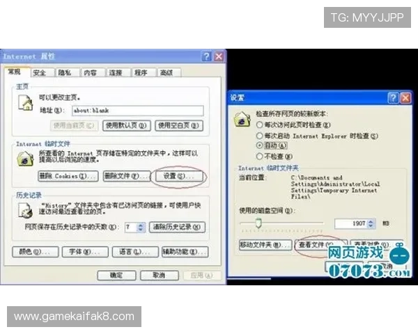 凯发电脑版官网登录：遇到登录困难时的快速解决方案与客服支持